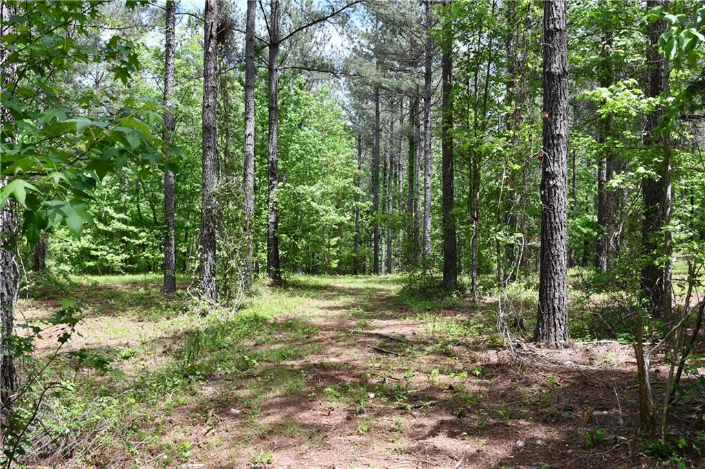 1 Wilson Road Temple, GA 30179 - Photo 57 of 88 a big yard with lots of green space and trees