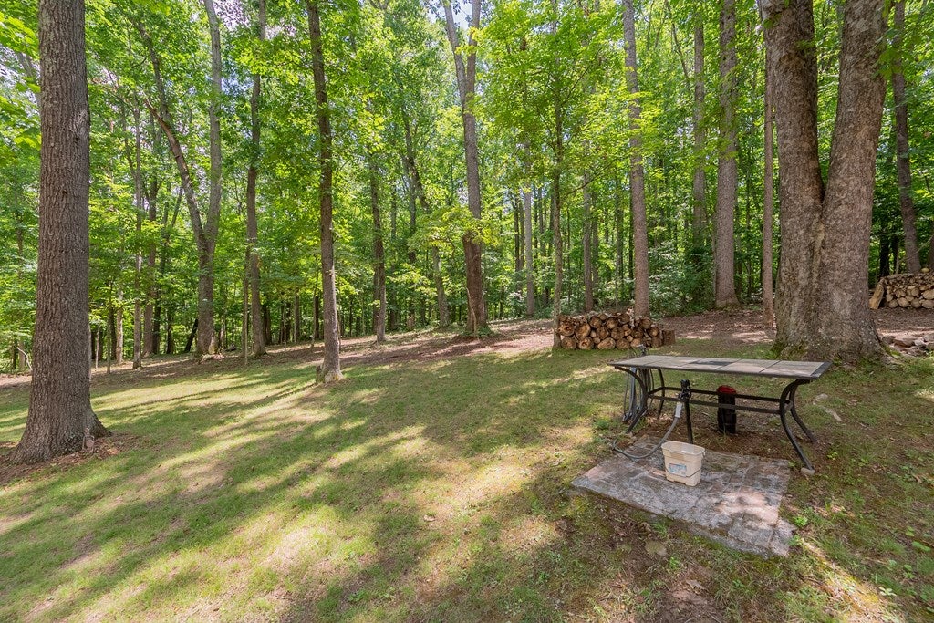 2758 Wysor Road Draper, VA 24324 - Photo 57 of 75 Gallery Image 57