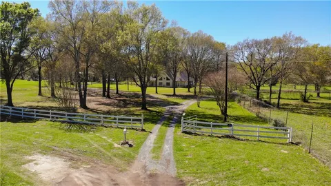 a bird view with a lush green forest