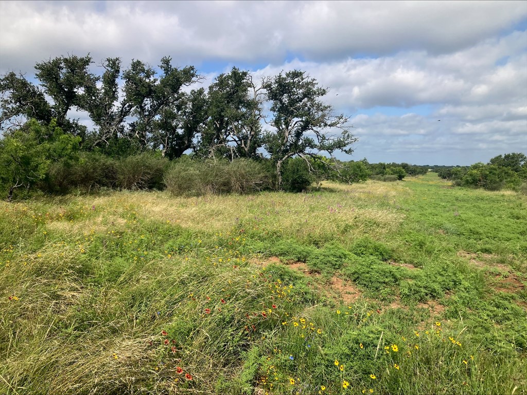 4605 West Ranch Road Mason, TX 76856 - Photo 26 of 26