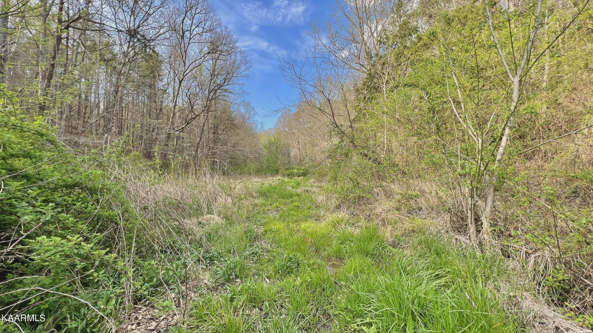 1560 Dripping Springs Road Seymour, TN 37865 - Photo 28 of 46