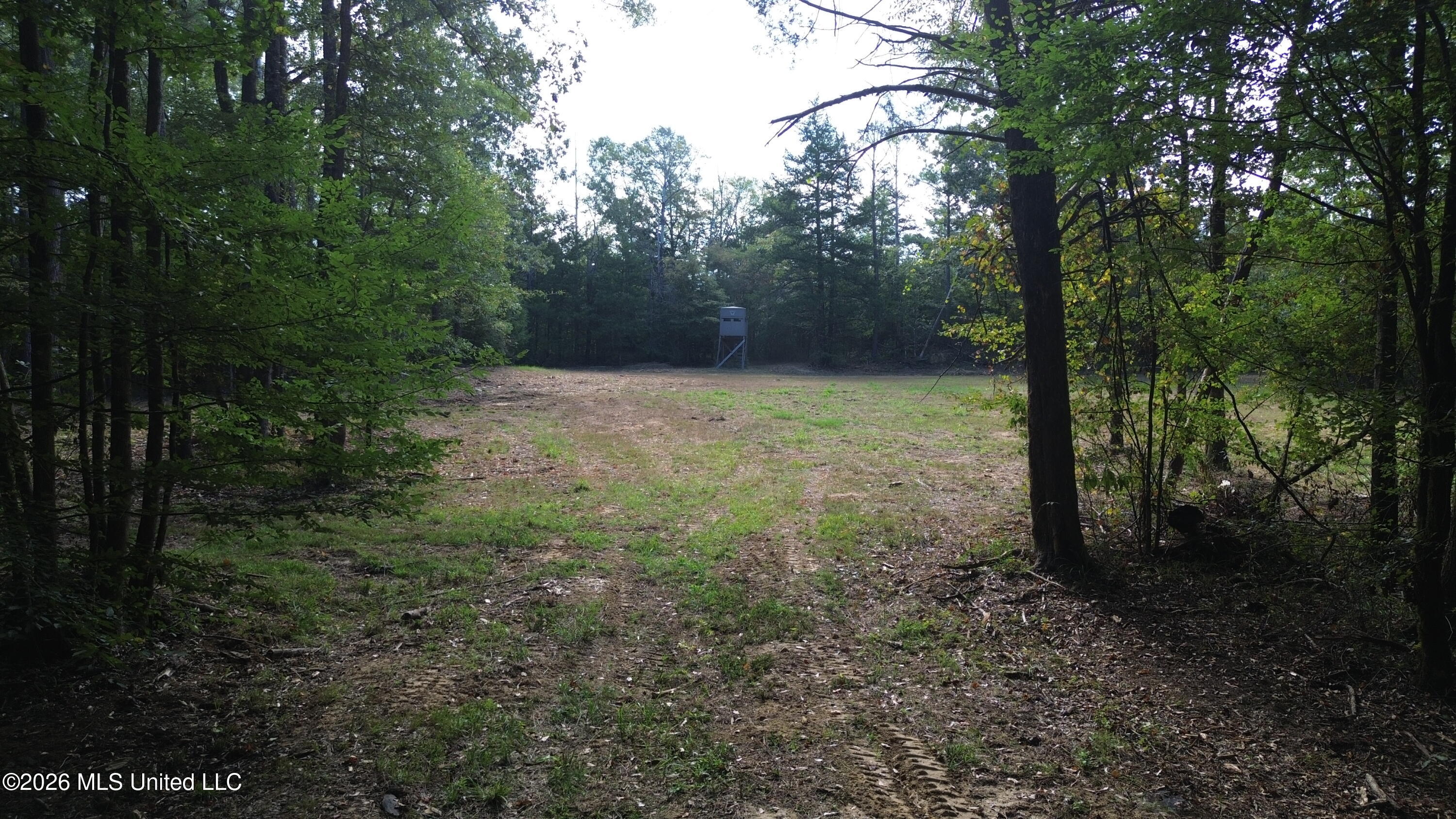 11330 Ms-429 Carthage, MS 39051 - Photo 17 of 128 DJI_0606