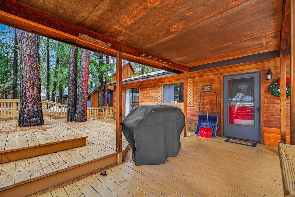 308 Cece Way McCall, ID 83638 - Photo 28 of 57