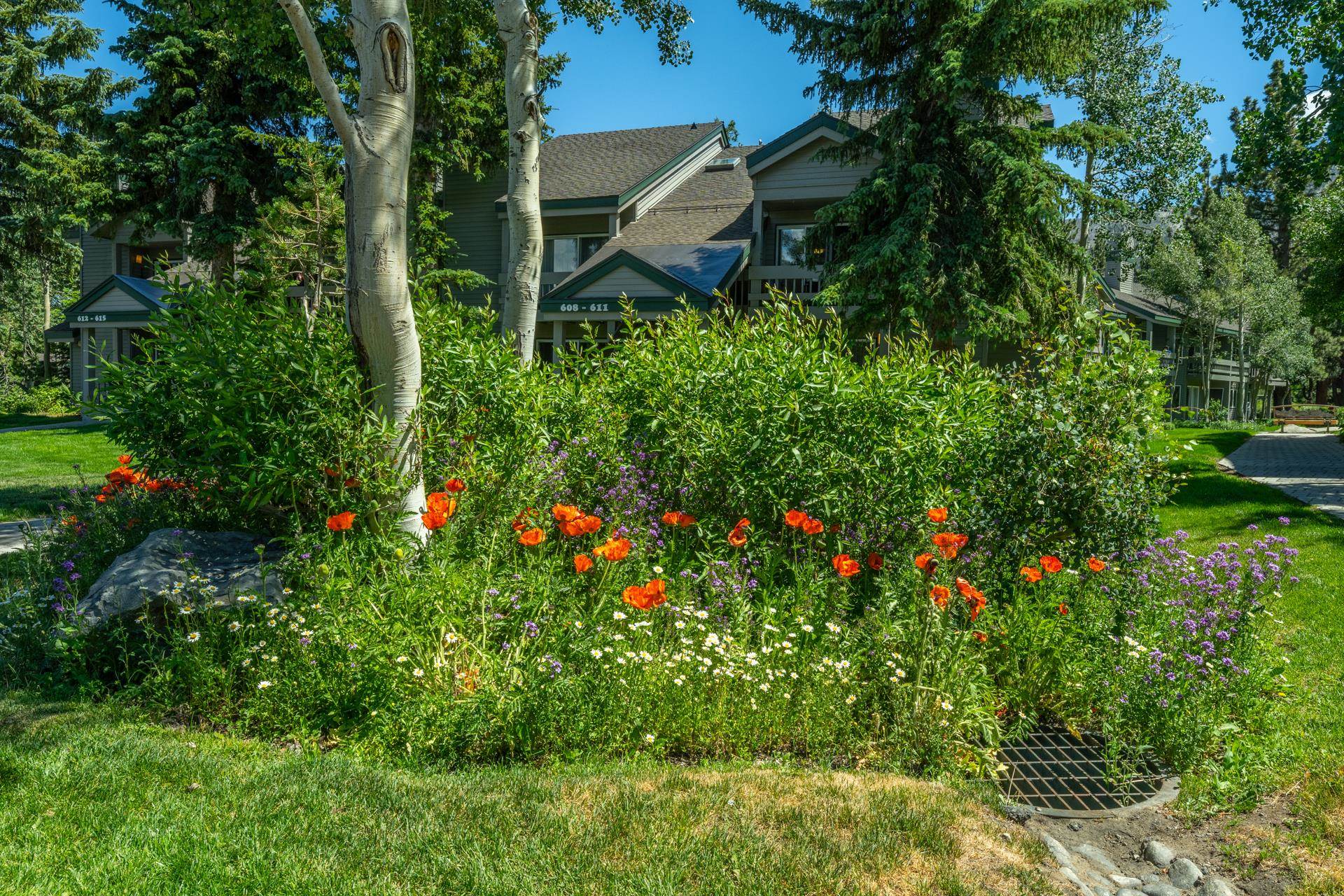609 Golden Creek Road, Unit 609 Mammoth Lakes, CA 93546 - Photo 2 of 42 Lush landscaping featuring vibrant orange and purple floral arrangements, mature trees, and manicured green lawns