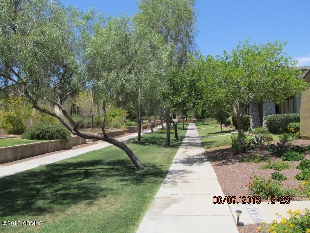 4553 North Point Ridge Road Buckeye, AZ 85396 - Photo 24 of 31 IMG_2284