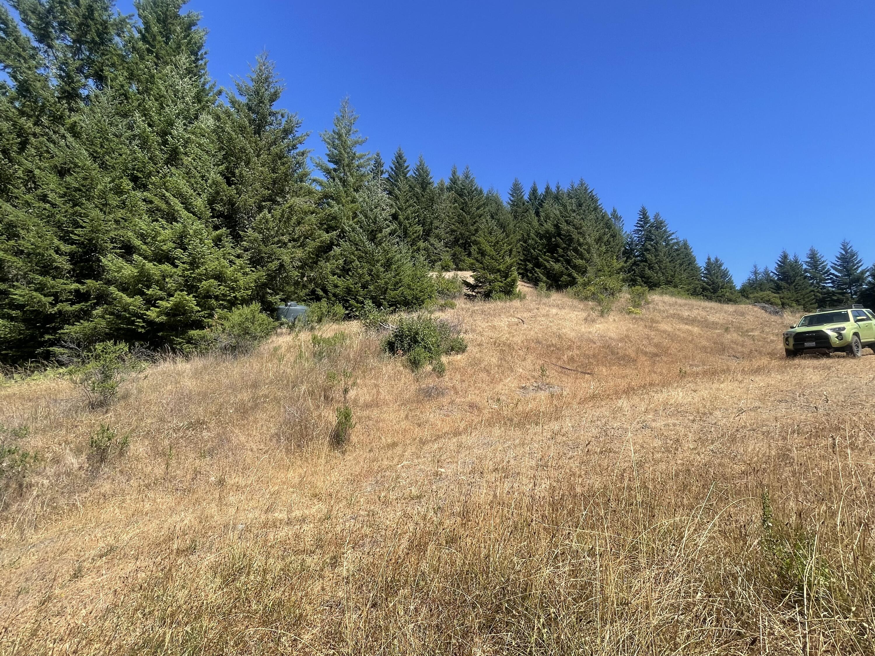 2027 Sunset Ridge Road Blocksburg, CA 95514 - Photo 28 of 37