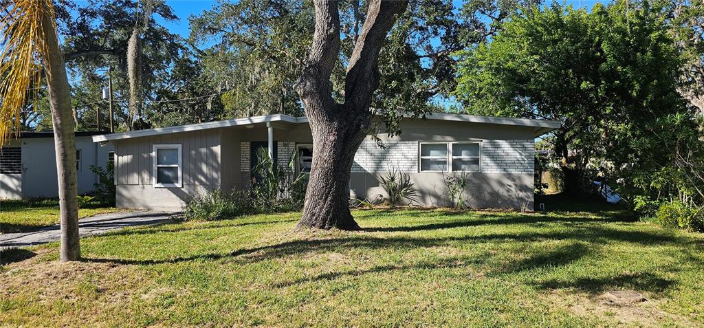 a view of a backyard with a tree