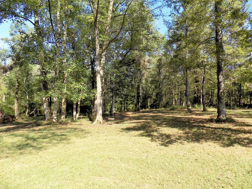 166 Patton Road Gray, GA 31032 - Photo 17 of 22 a swimming pool with trees in the background