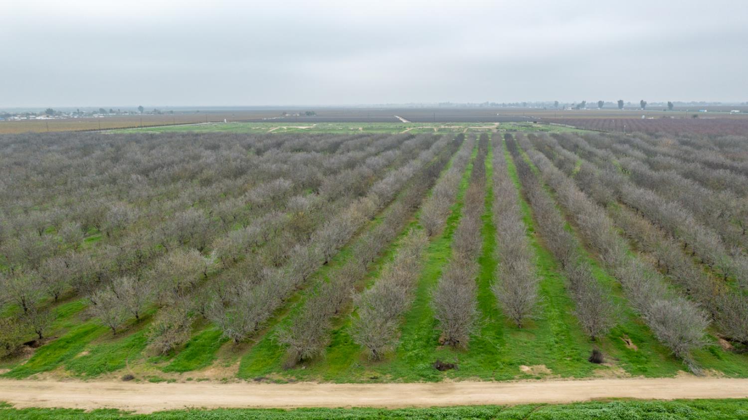 0 Howard Road Earlimart, CA 93219 - Photo 11 of 18 a view of a yard