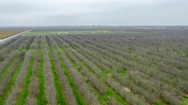 a view of a lake with a big yard