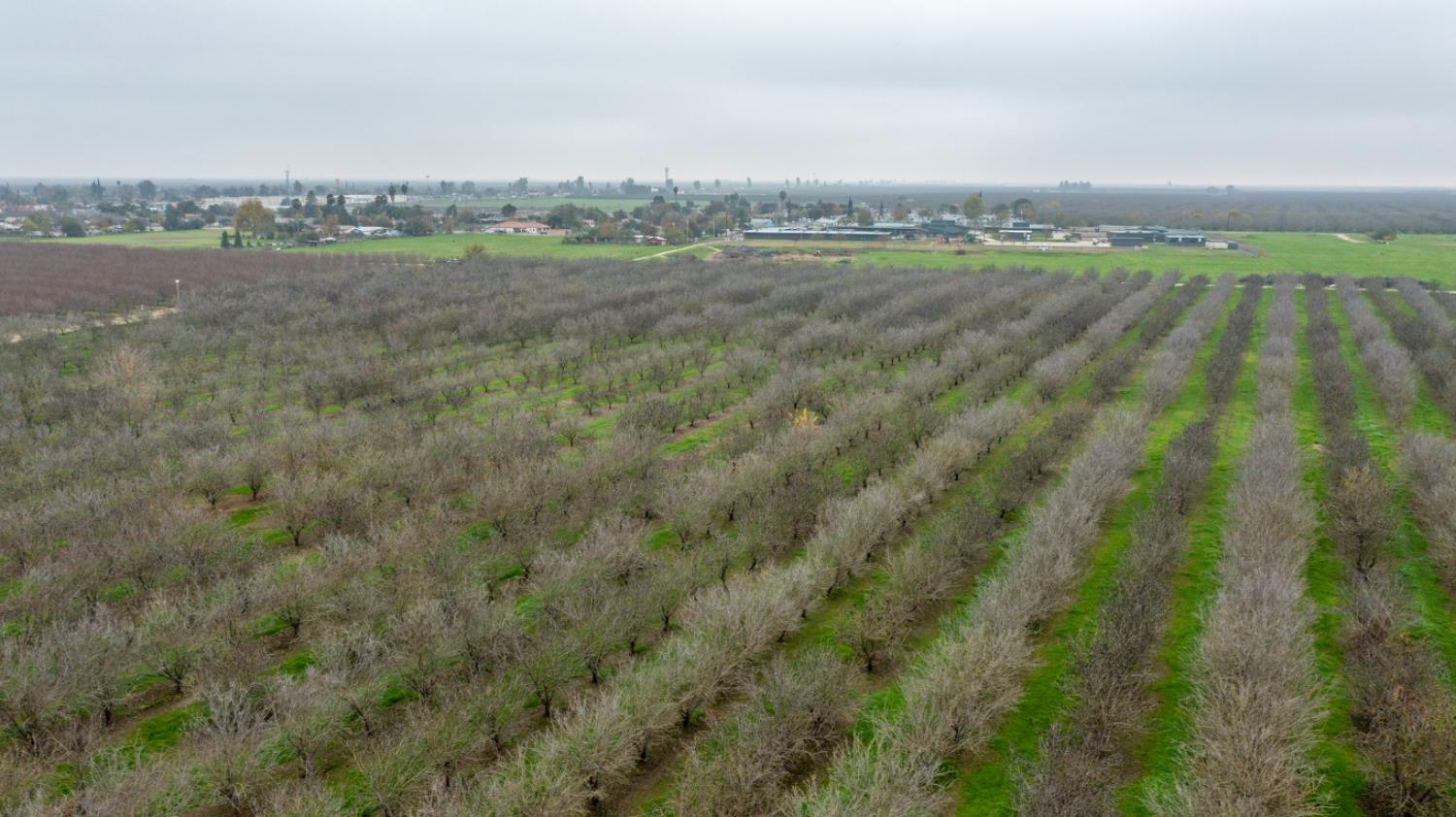 0 Howard Road Earlimart, CA 93219 - Photo 14 of 18 a view of a city with lush green forest