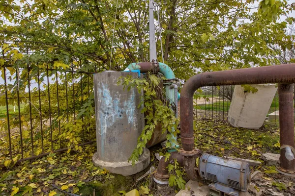a view of statue in a garden