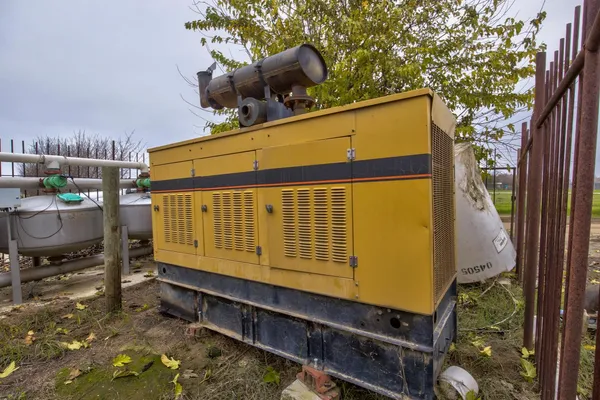 a blue and yellow plant sitting in front of a house