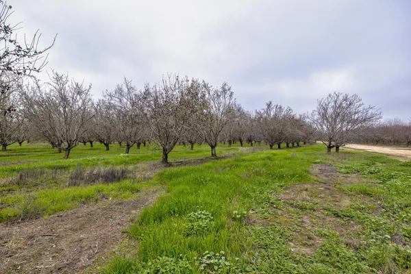 a view of a yard with an outdoor space