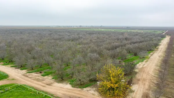 a view of a field with an ocean view