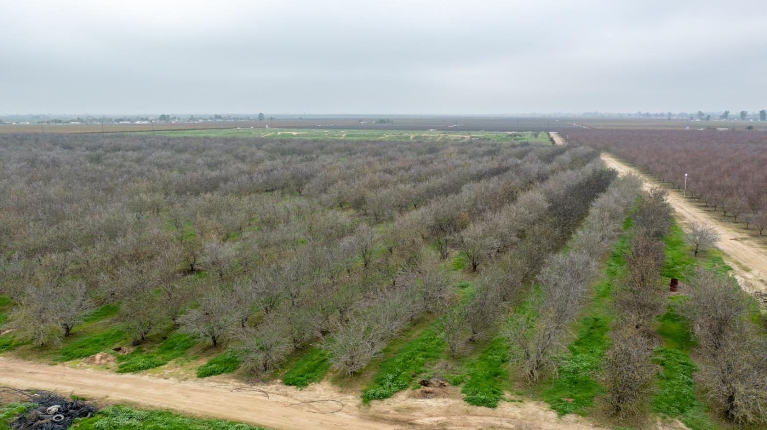 0 Howard Road Earlimart, CA 93219 - Photo 10 of 18 a view of a field with an ocean view