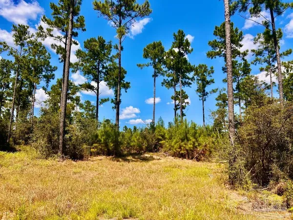 $240,000 | Lot 1 Morgans Branch, Molino, FL 32577