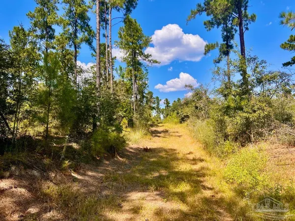 $240,000 | Lot 1 Morgans Branch, Molino, FL 32577