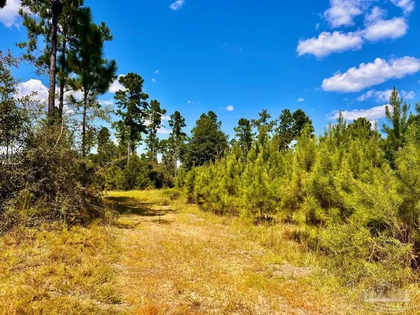 $240,000 | Lot 1 Morgans Branch, Molino, FL 32577