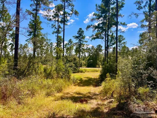 $240,000 | Lot 1 Morgans Branch, Molino, FL 32577