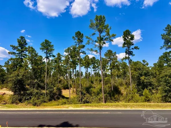 $240,000 | Lot 1 Morgans Branch, Molino, FL 32577