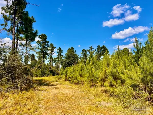 $240,000 | Lot 1 Morgans Branch, Molino, FL 32577