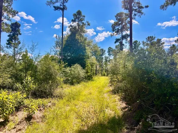 $240,000 | Lot 1 Morgans Branch, Molino, FL 32577