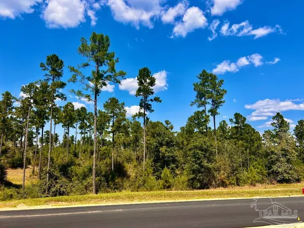 $240,000 | Lot 1 Morgans Branch, Molino, FL 32577
