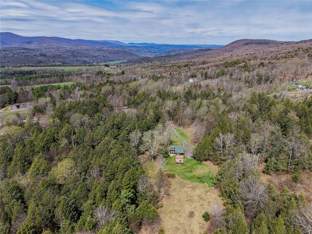31 Van Etten Road Lexington, NY 12468 - Photo 5 of 31