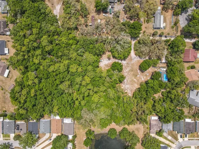 a view of a dry yard