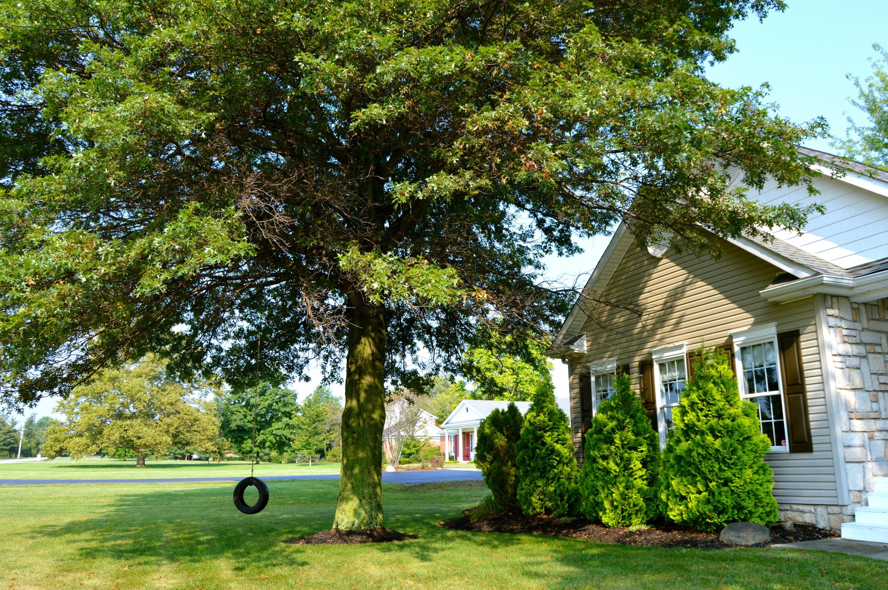 1558 Hiner Road Orient, OH 43146 - Photo 4 of 61 Gallery Image 4