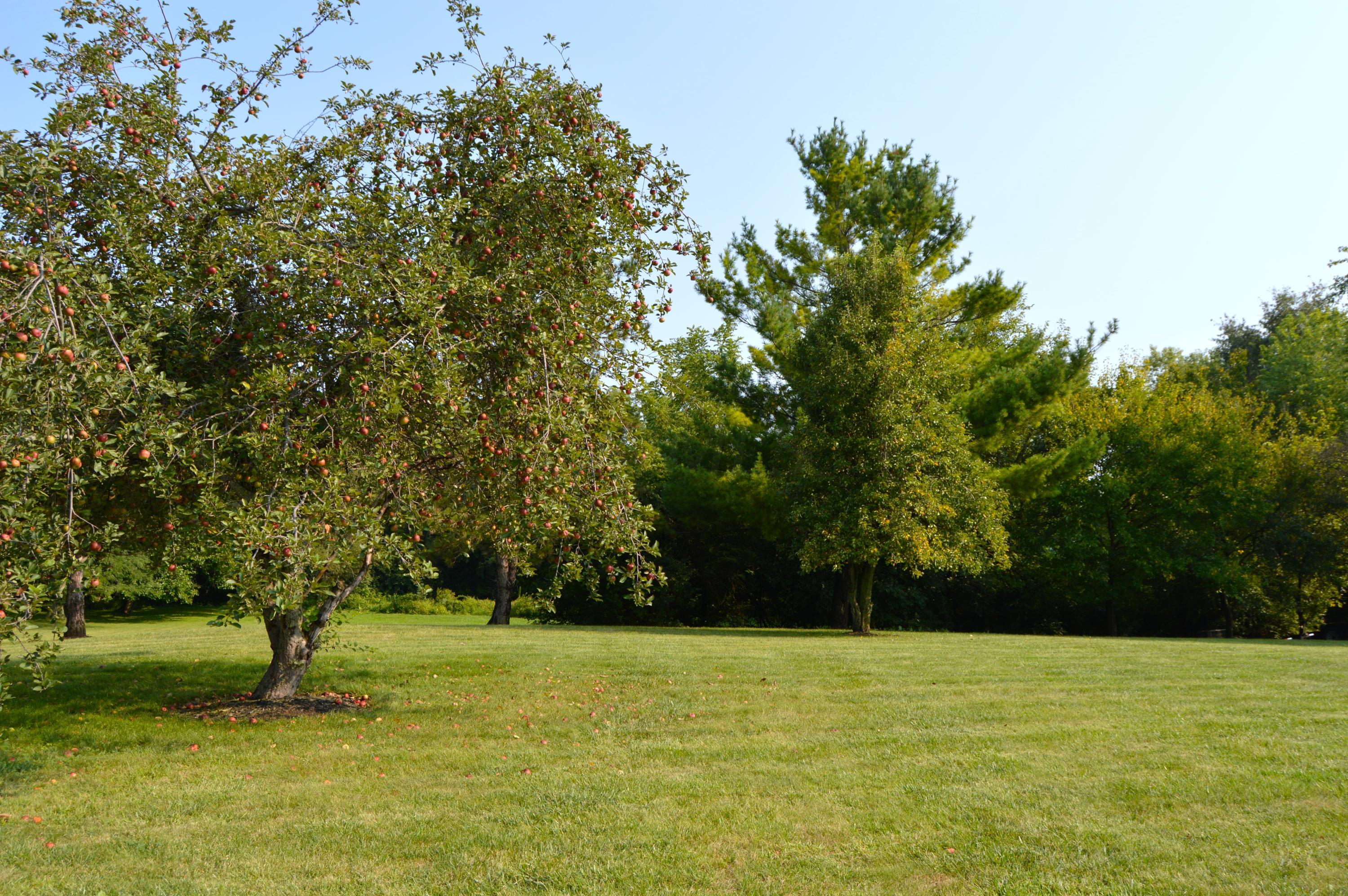 1558 Hiner Road Orient, OH 43146 - Photo 57 of 61 Gallery Image 57