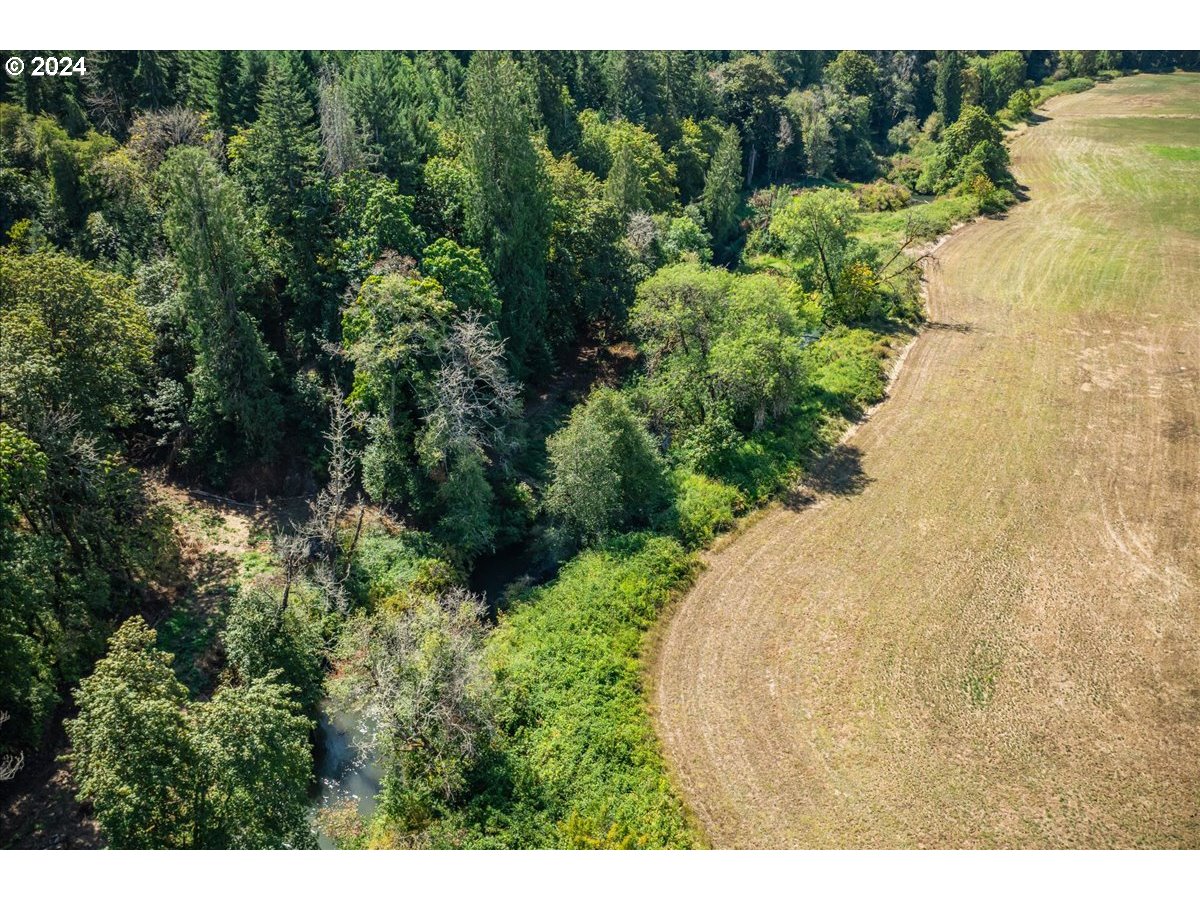 Scoggins Valley Road Gaston, OR 97119 - Photo 5 of 19 a view of a garden with an ocean