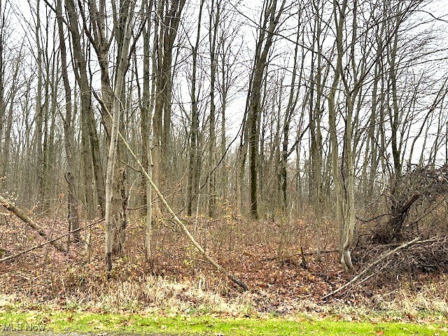 1250 Way Road Rome, OH 44085 - Photo 6 of 8 View of local wilderness