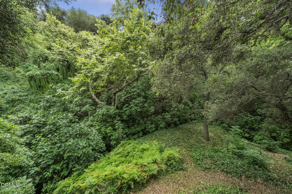 951 Laguna Road Pasadena, CA 91105 - Photo 19 of 50 DSC01472