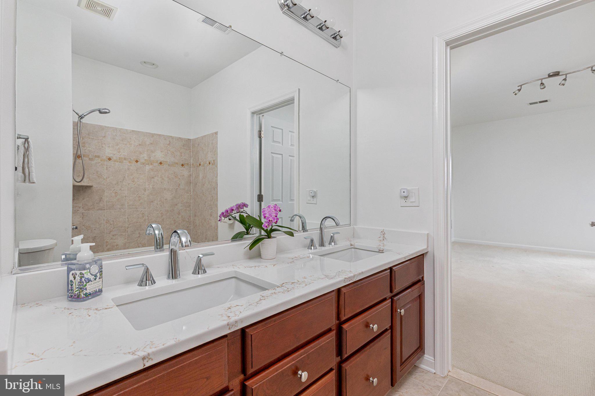 38786 Rambling Farm Drive Hamilton, VA 20158 - Photo 50 of 97 Bath with new quartz counters