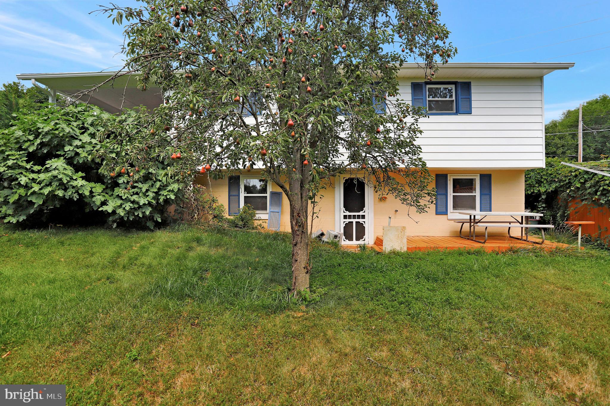 639 Security Road Hagerstown, MD 21740 - Photo 27 of 31 Pear Tree. Fig tree