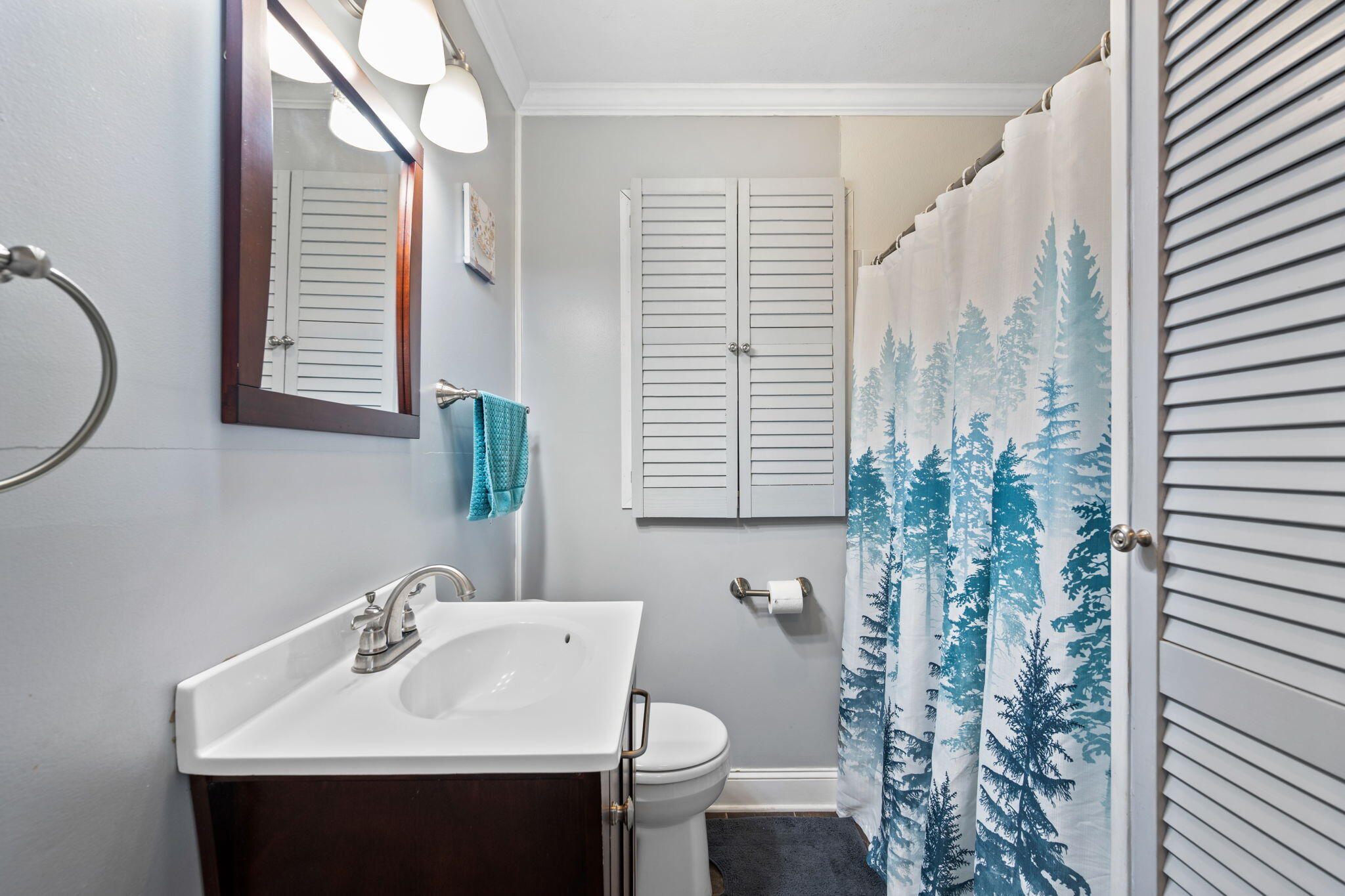 141 Church Street Calhoun, TN 37309 - Photo 17 of 40 10-web-or-mls-DSC_8216