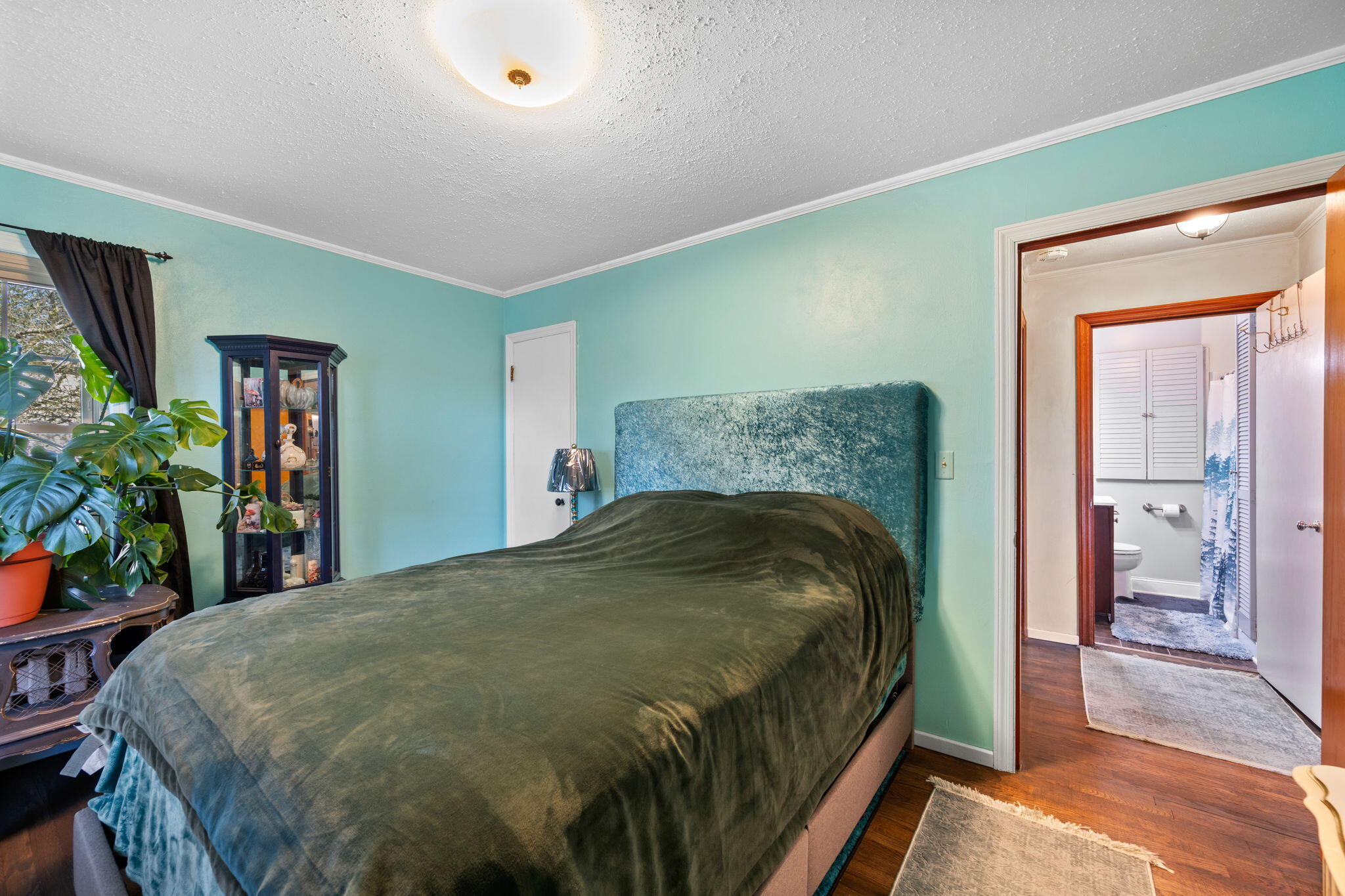 141 Church Street Calhoun, TN 37309 - Photo 19 of 40 6-web-or-mls-DSC_8204