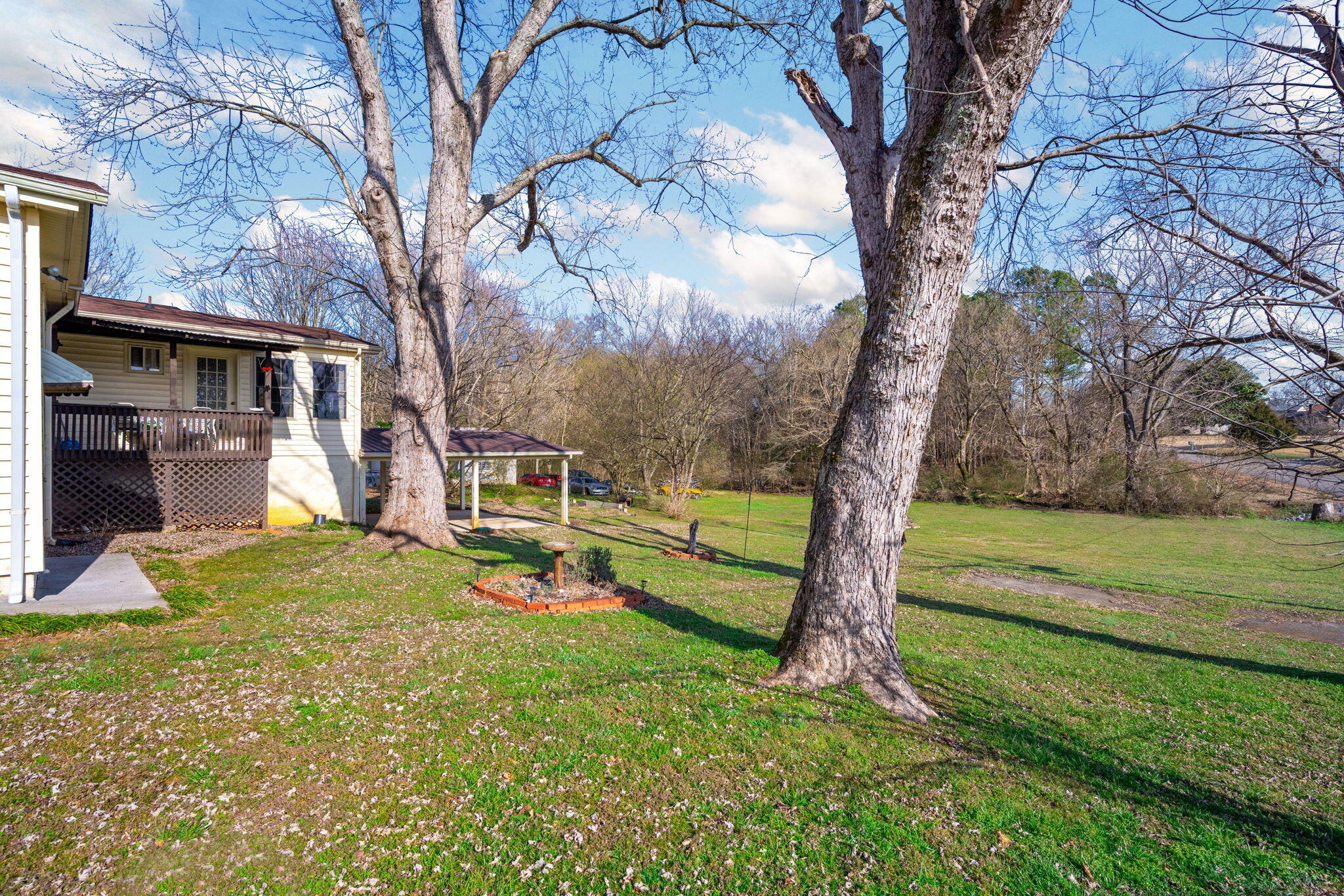 141 Church Street Calhoun, TN 37309 - Photo 40 of 40 38-web-or-mls-DSC_8293