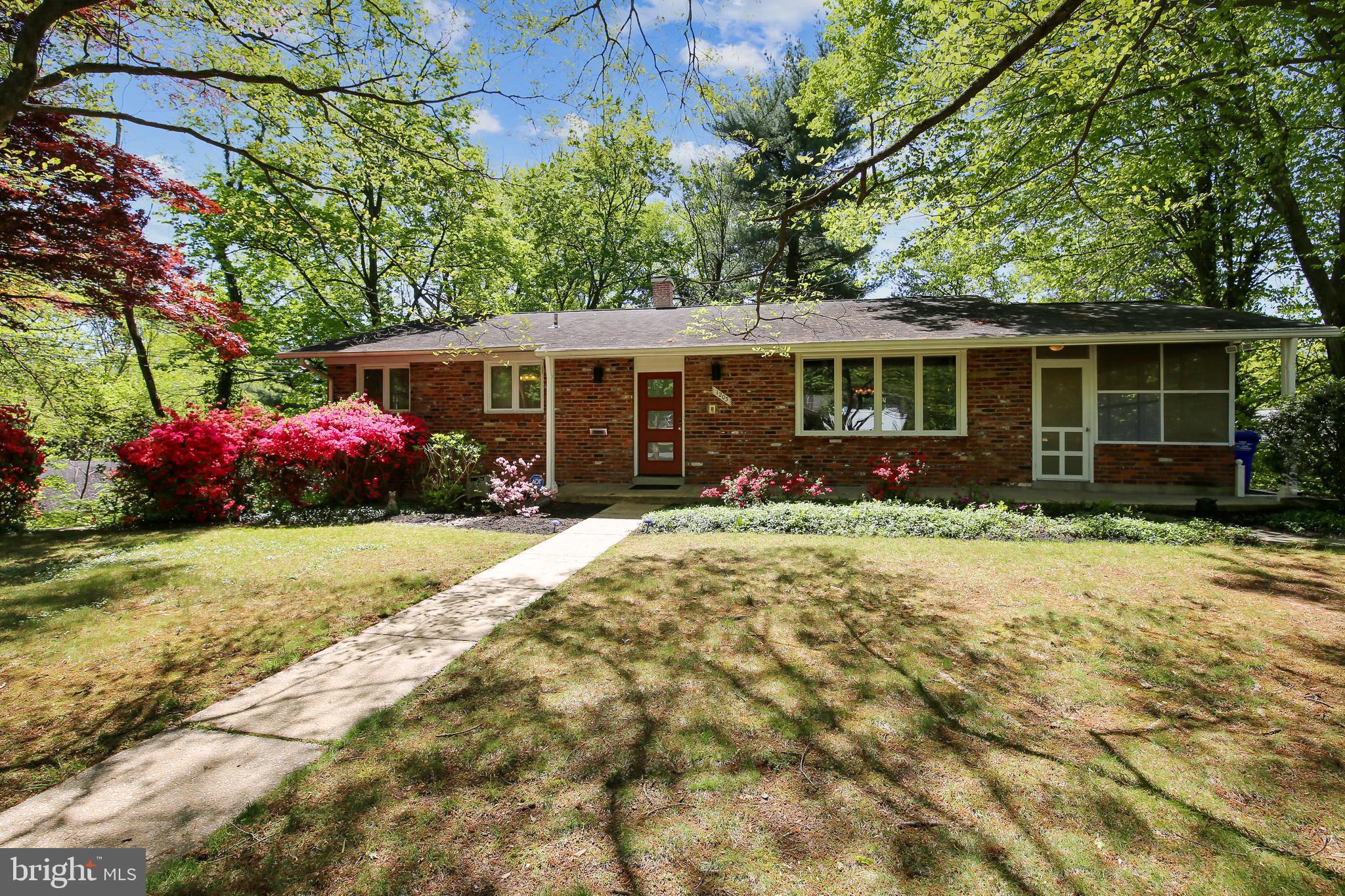 1203 Dunoon Court Silver Spring, MD 20903 - Photo 36 of 39 Morning view