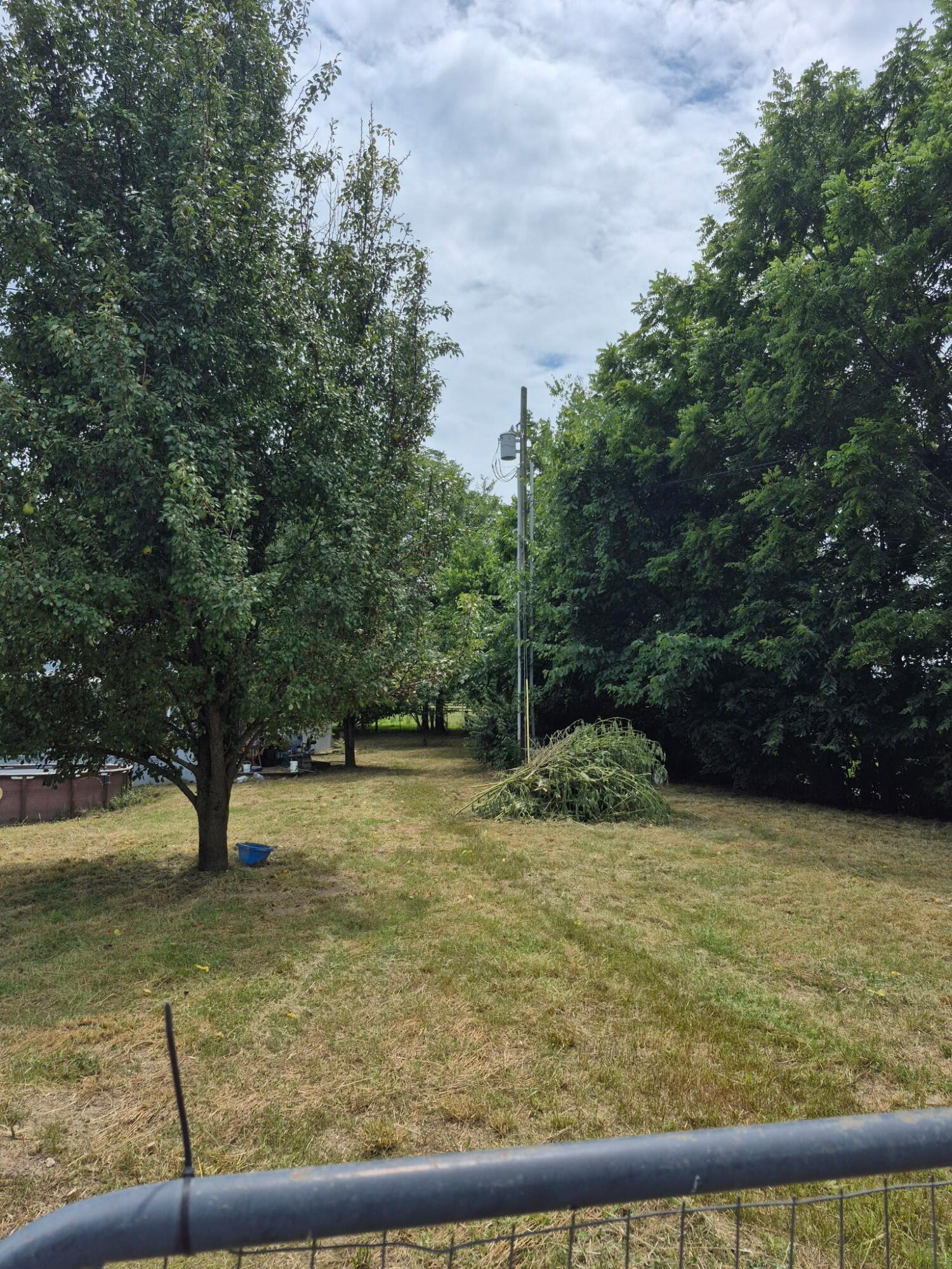 226 Watershed Road Sharpsburg, KY 40374 - Photo 5 of 40 1000012188