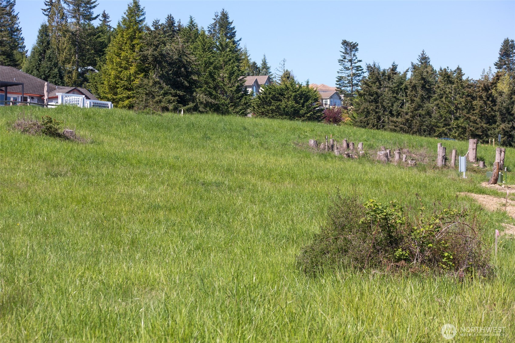 623 Doe Run Road Sequim, WA 98382 - Photo 10 of 13 a view of a back yard