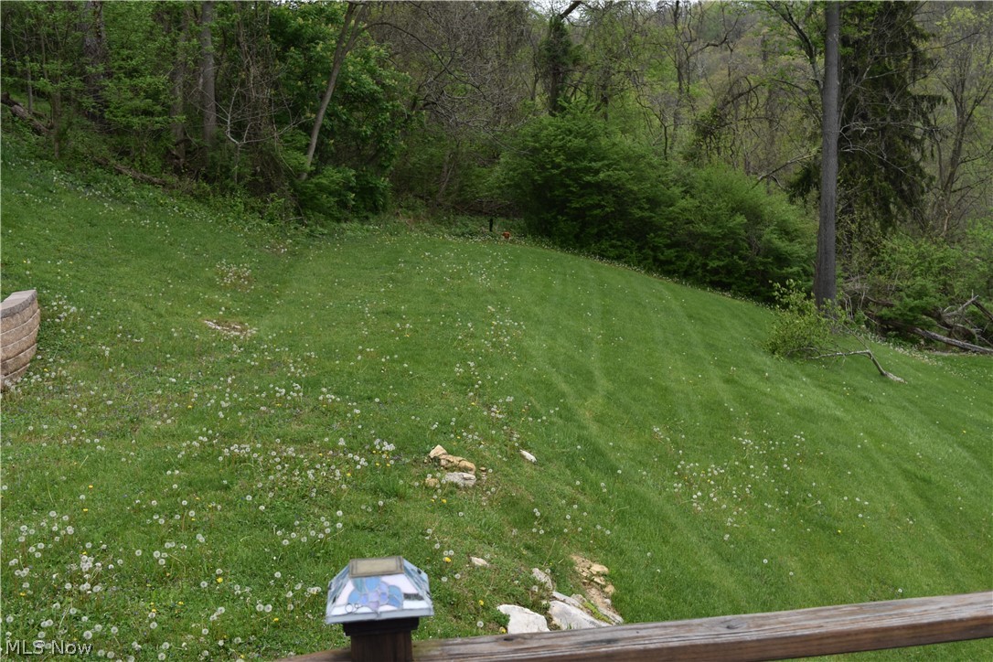 515 Spring Heights Road Bridgeport, OH 43912 - Photo 17 of 22 Gallery Image 17
