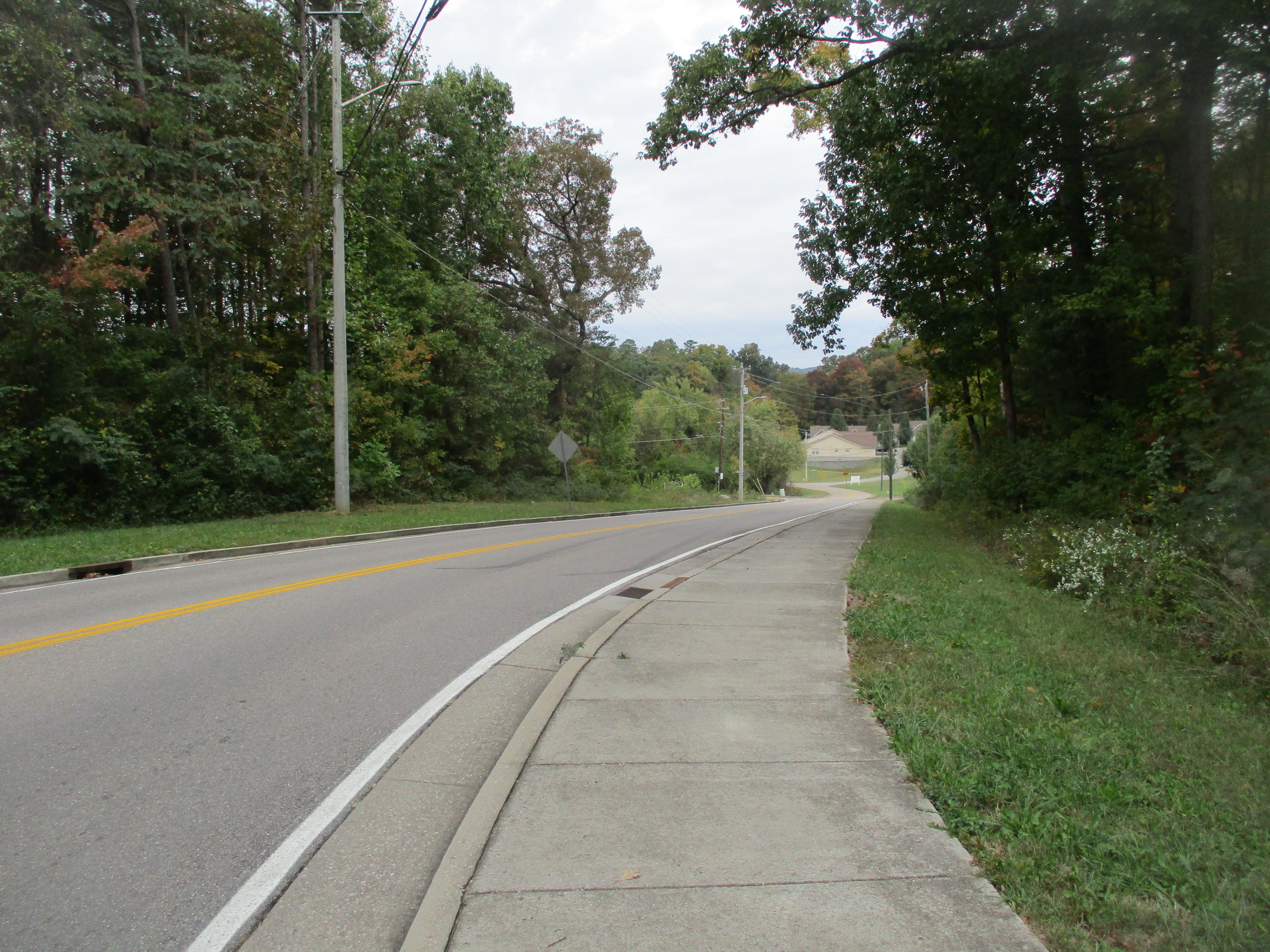 Henson Road Knoxville, TN 37921 - Photo 1 of 1 IMG_1180