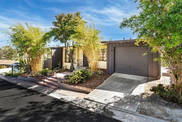 a bunch of flowers are in a yard