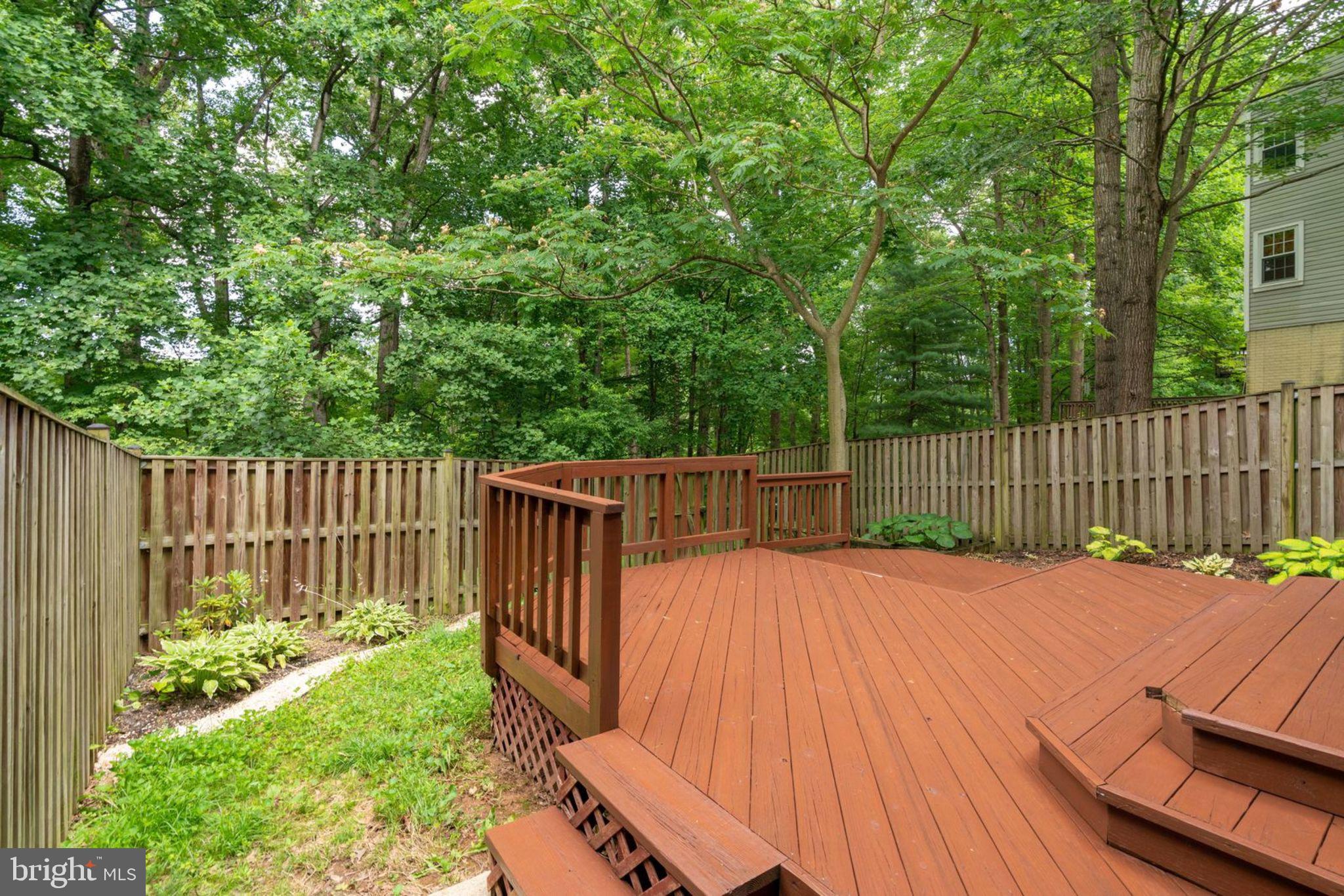 8130 Cliffview Avenue Springfield, VA 22153 - Photo 49 of 50 Backyard