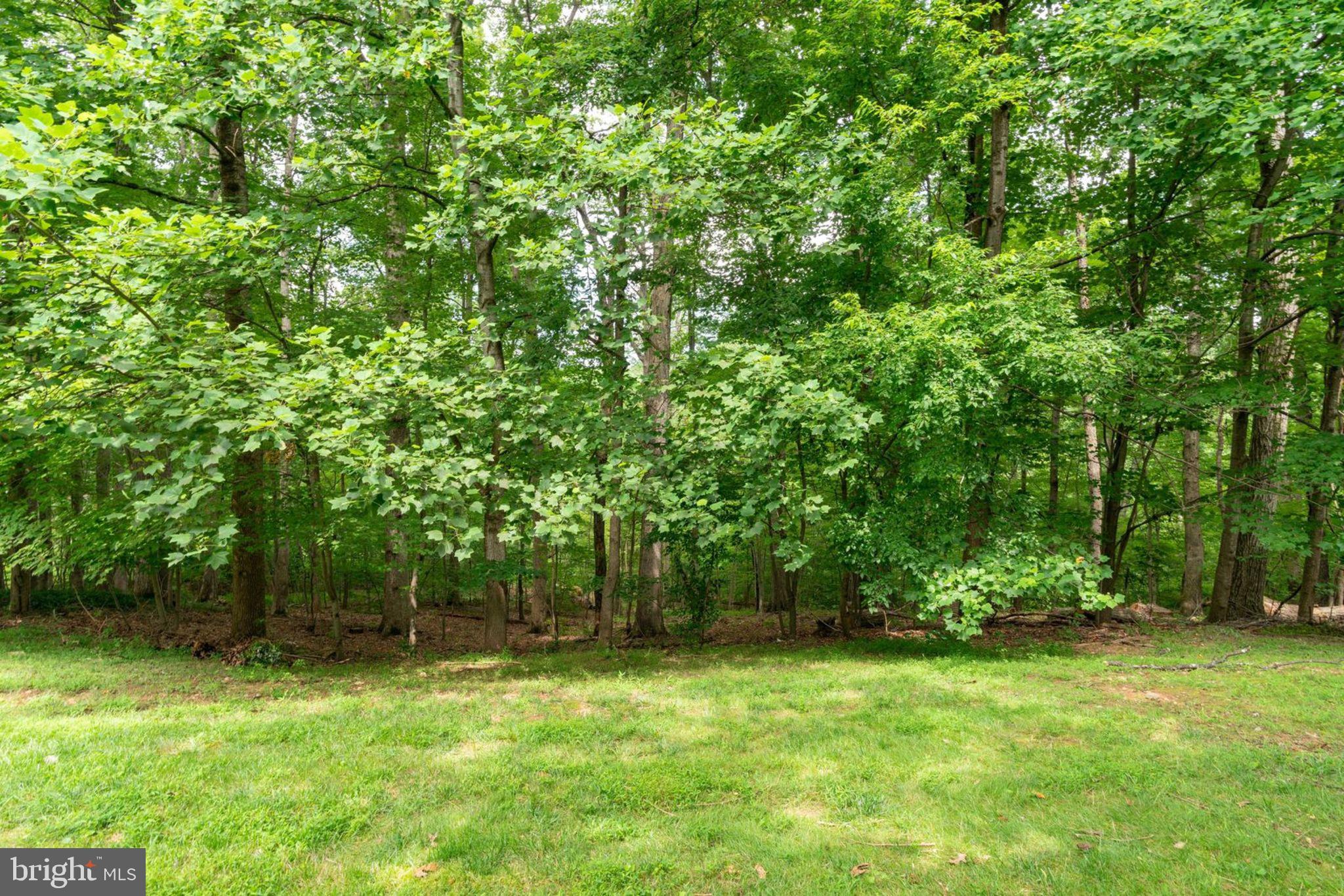 8130 Cliffview Avenue Springfield, VA 22153 - Photo 50 of 50 Packs to Pohick & Cross County Trail