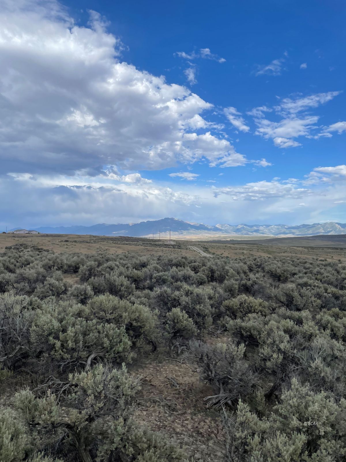 Sherman Ave Spring Creek Spring Creek, NV 89815 - Photo 1 of 13