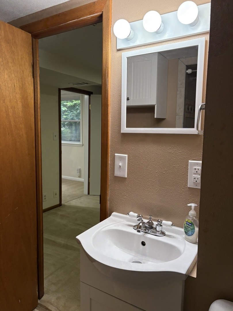 5209 12th Avenue Moline, IL 61265 - Photo 29 of 33 a bathroom with a sink and a mirror